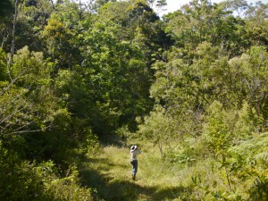 Birding Las Alturas