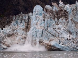 John Hopkins glacier calvingClick to view our Glacier Bay Gallery.