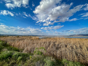 Summer Lake Wildlife Area